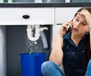 About Water Leak Detection Pros Brown City, MI